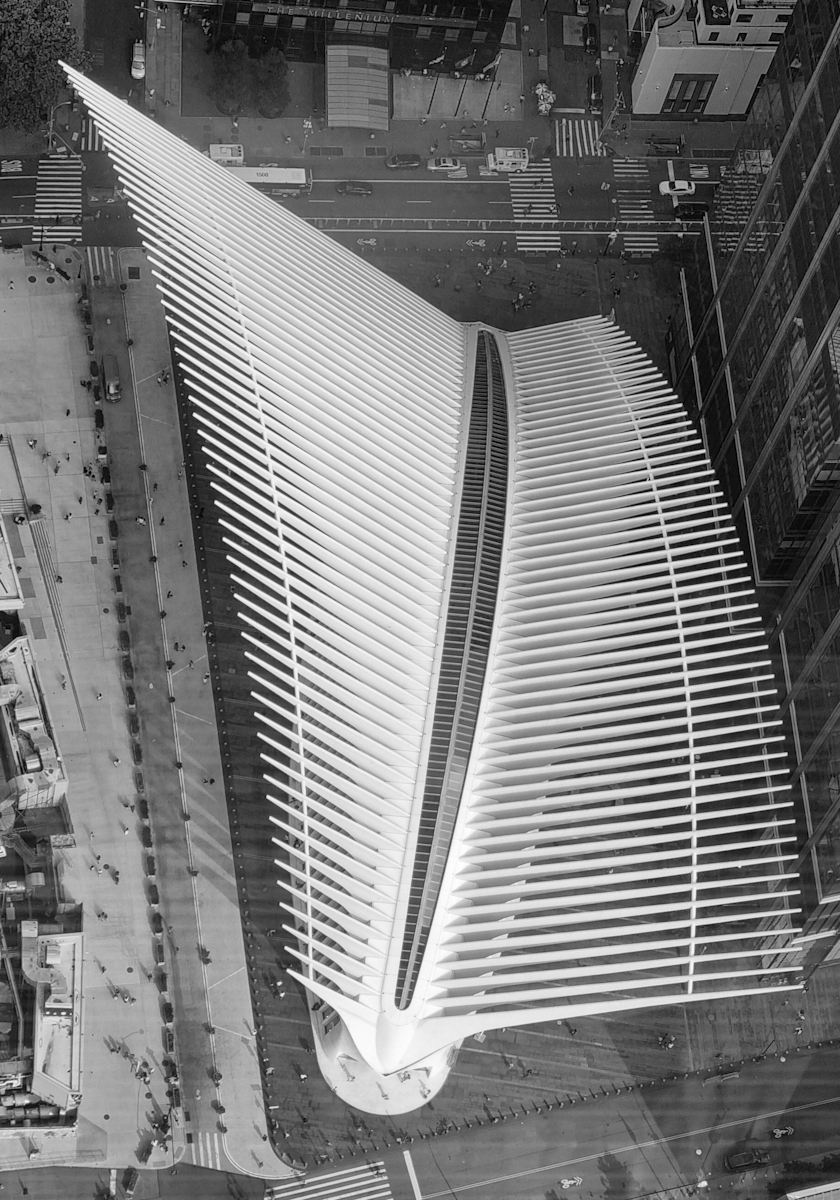 NYC Oculus