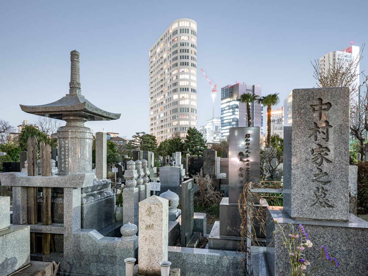 cotd - city of the dead