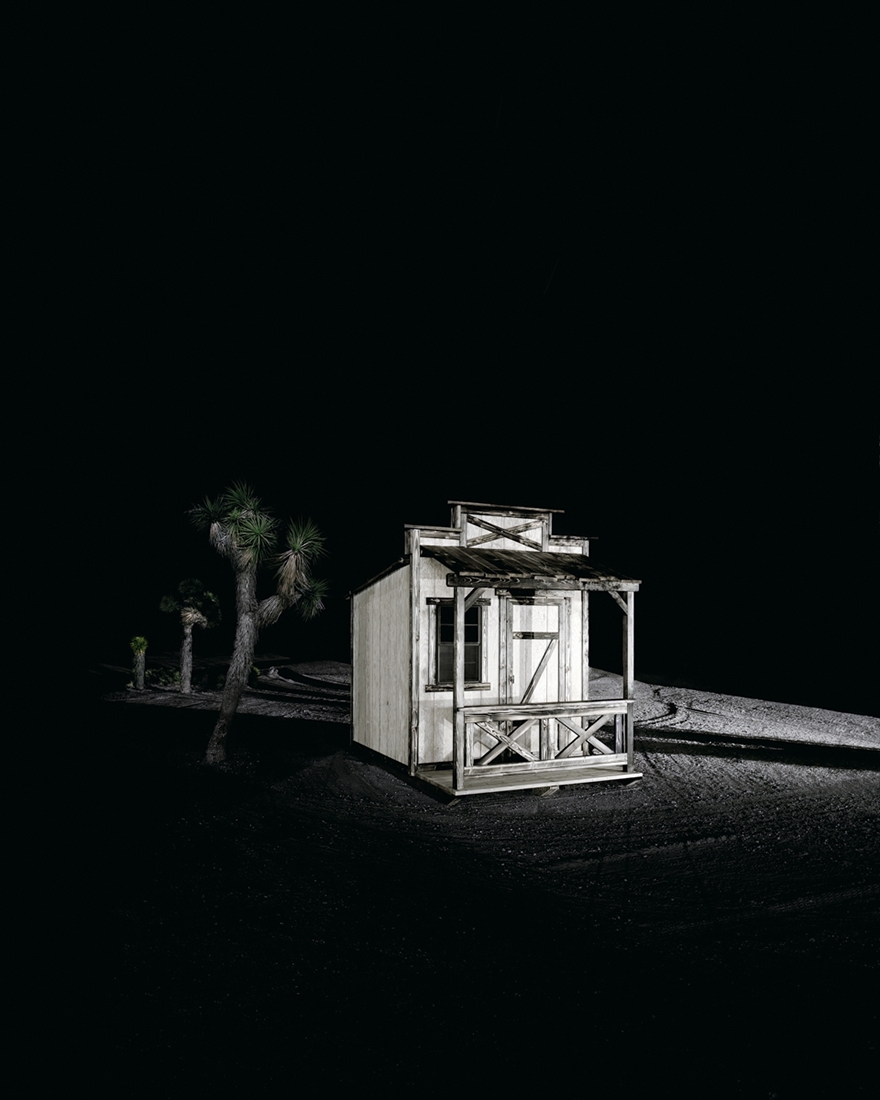 SHED WORLD