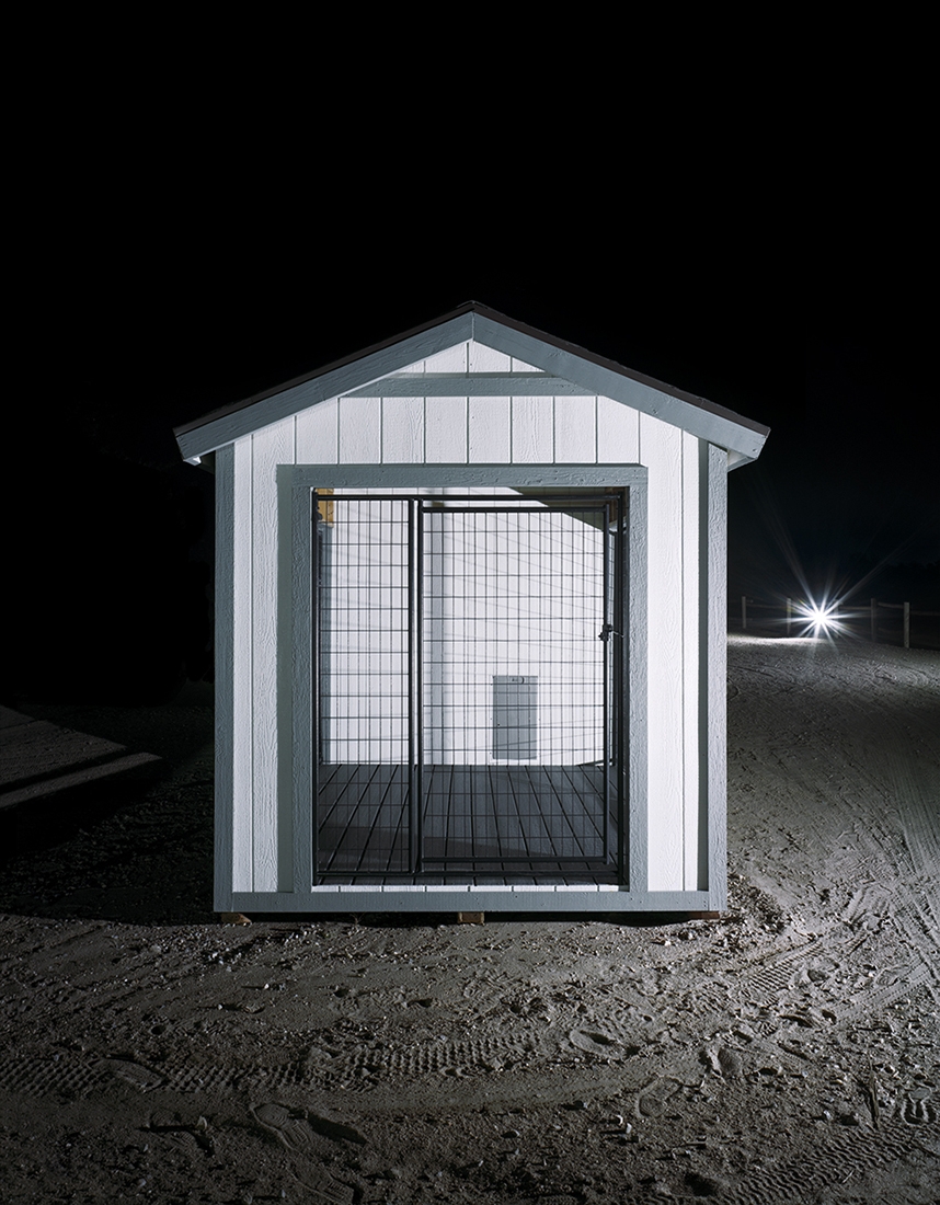 SHED WORLD