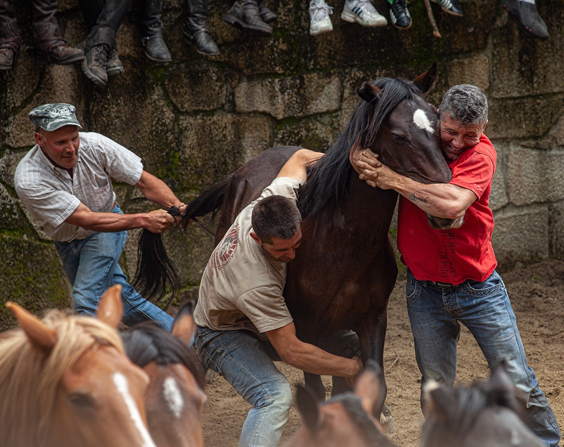 Annual Photography Awards winner ADOLFO ENRíQUEZ