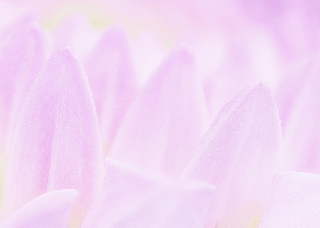 Tender beauty