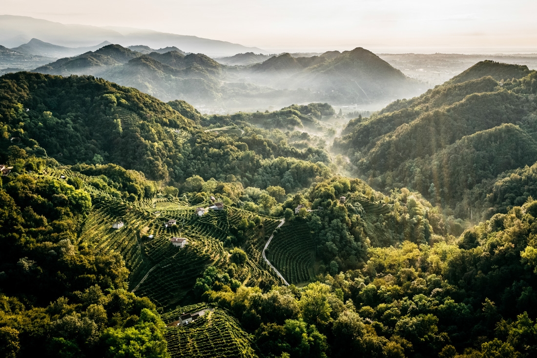 The Prosecco Hills of Conegliano and Valdobbiadene