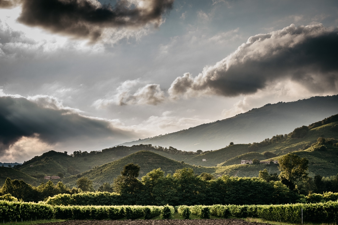 The Prosecco Hills of Conegliano and Valdobbiadene