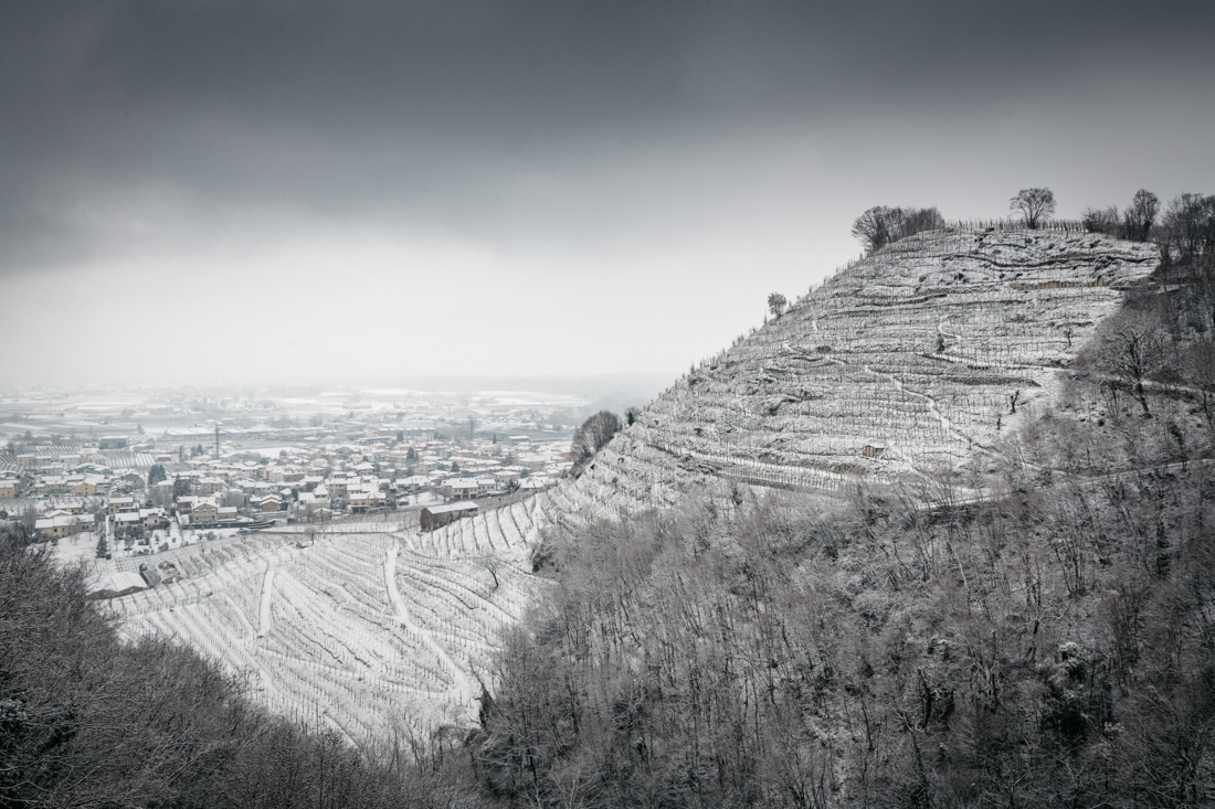 The Prosecco Hills of Conegliano and Valdobbiadene