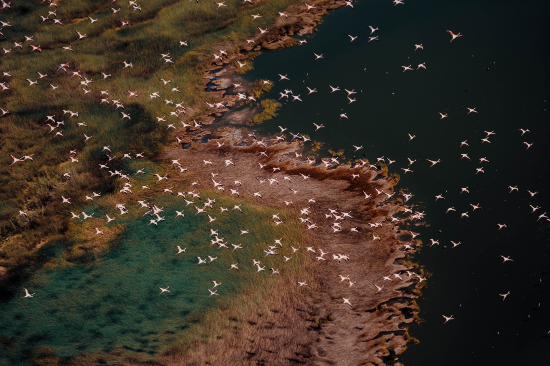 Flamingos over the Great Rift Valley
