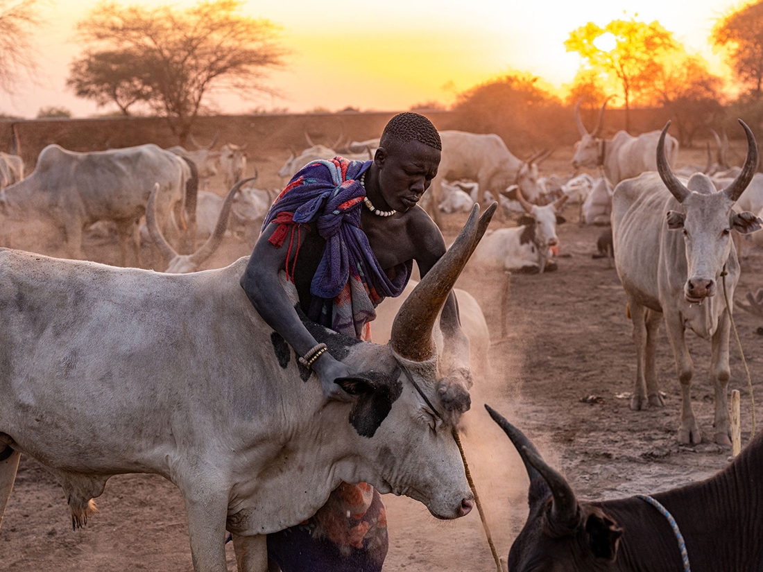 Mundari the free shepherds 
