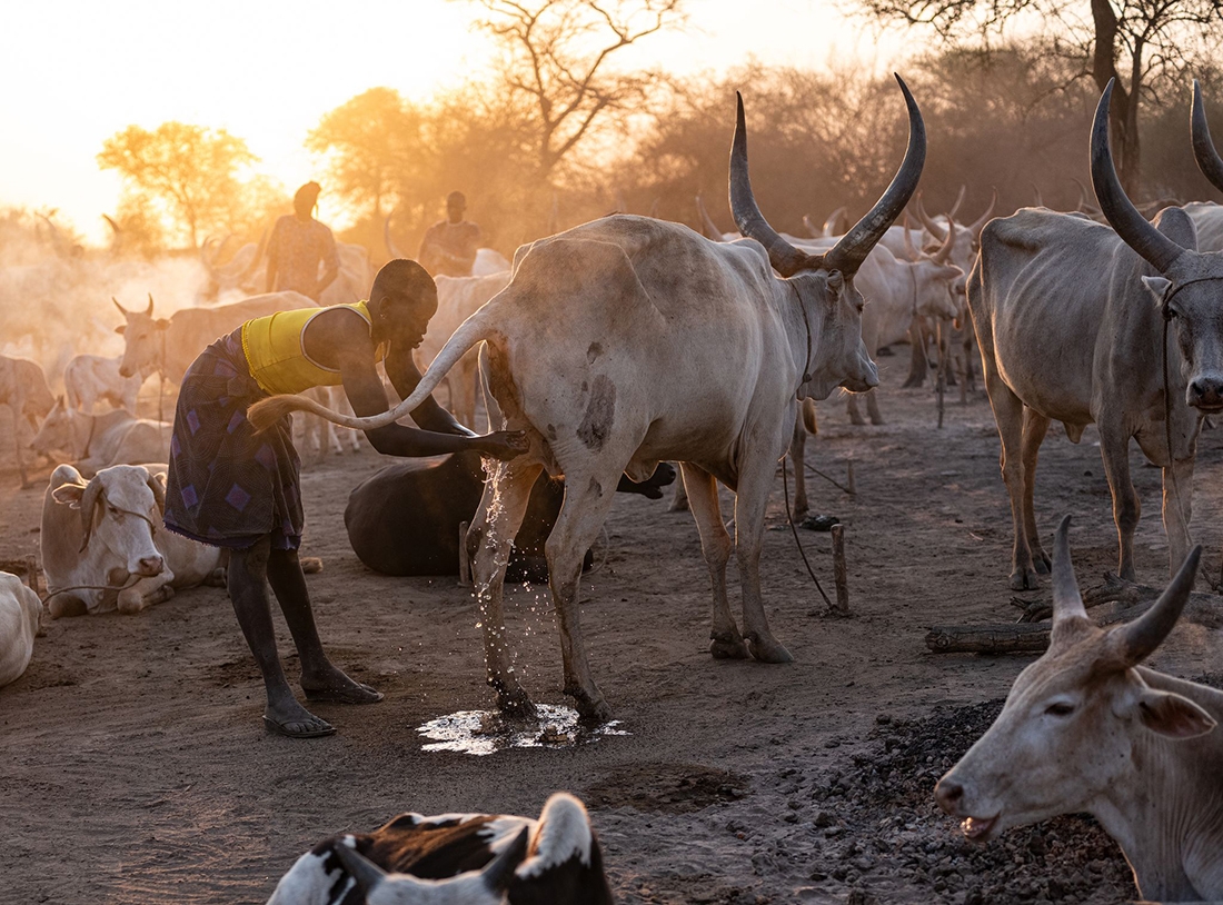 Mundari the free shepherds 