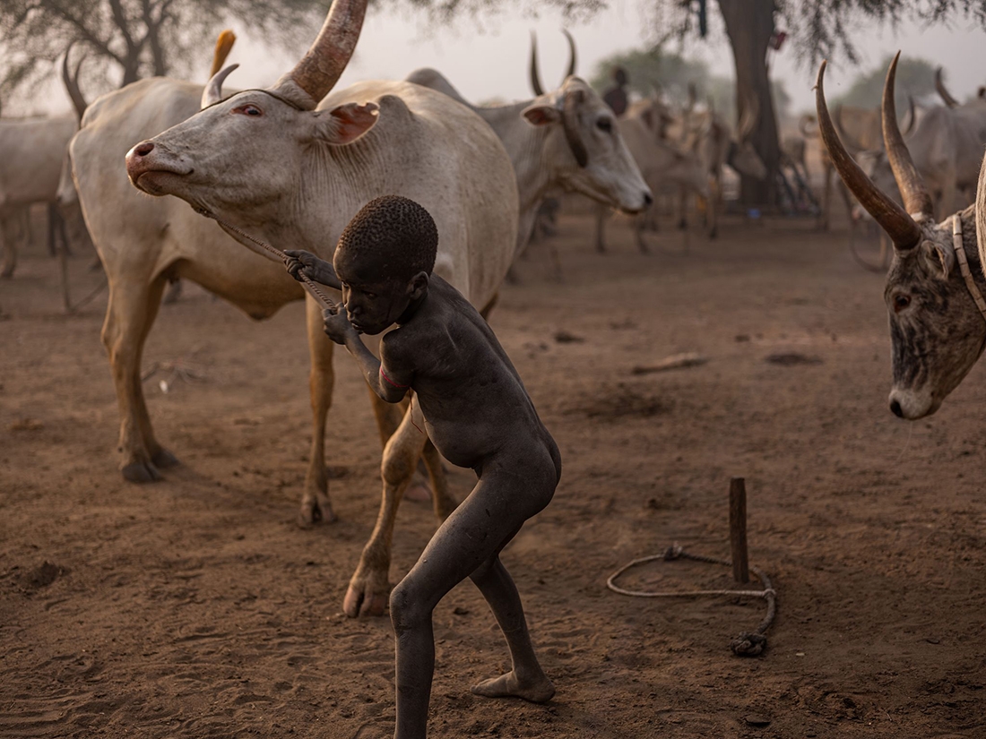 Mundari the free shepherds 
