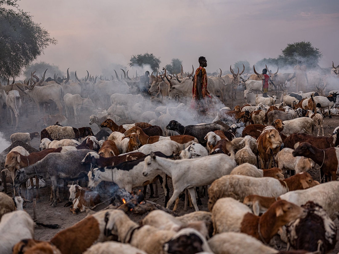 Mundari the free shepherds 