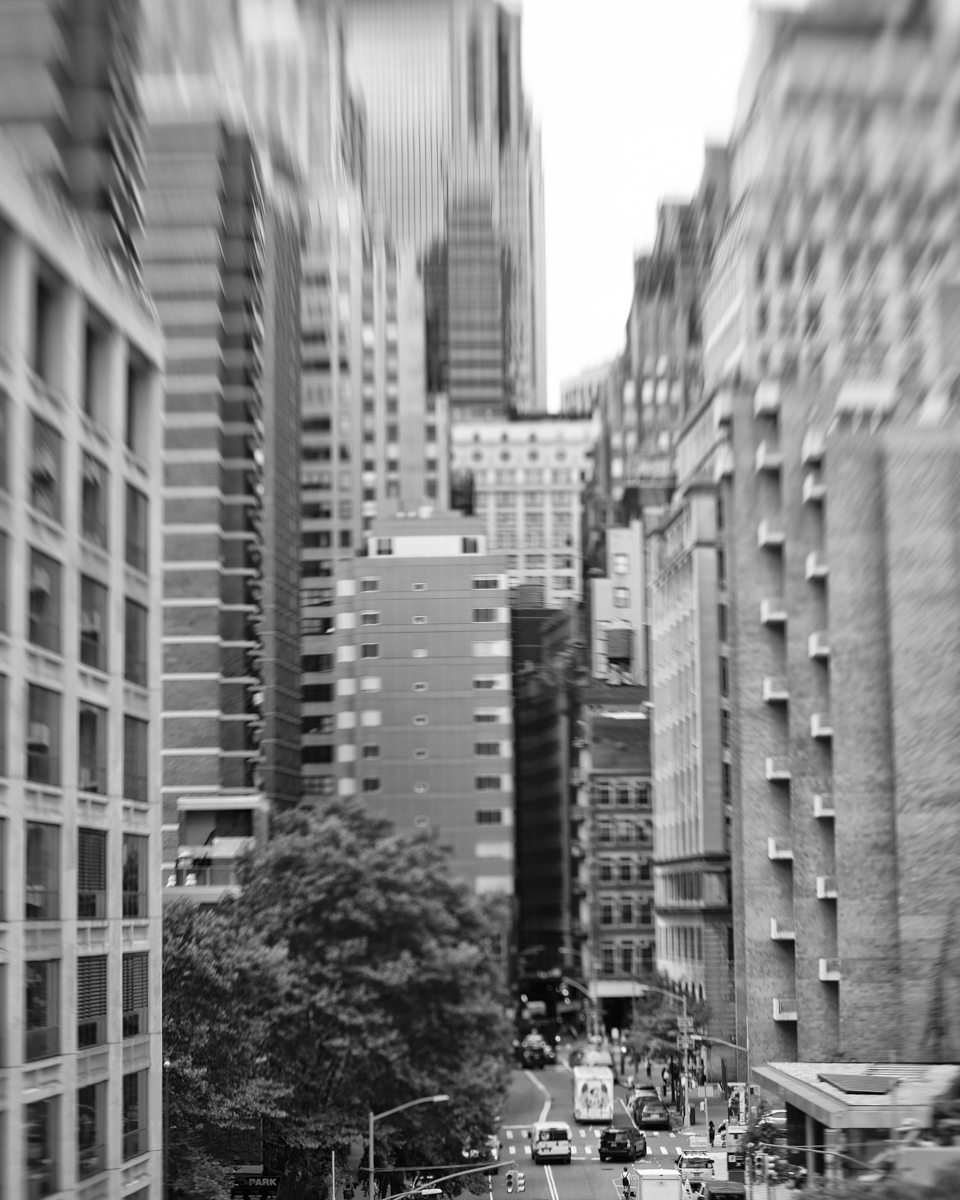 My New York
