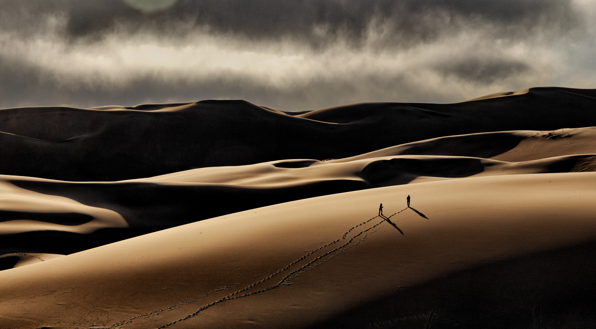 Dune Tracks