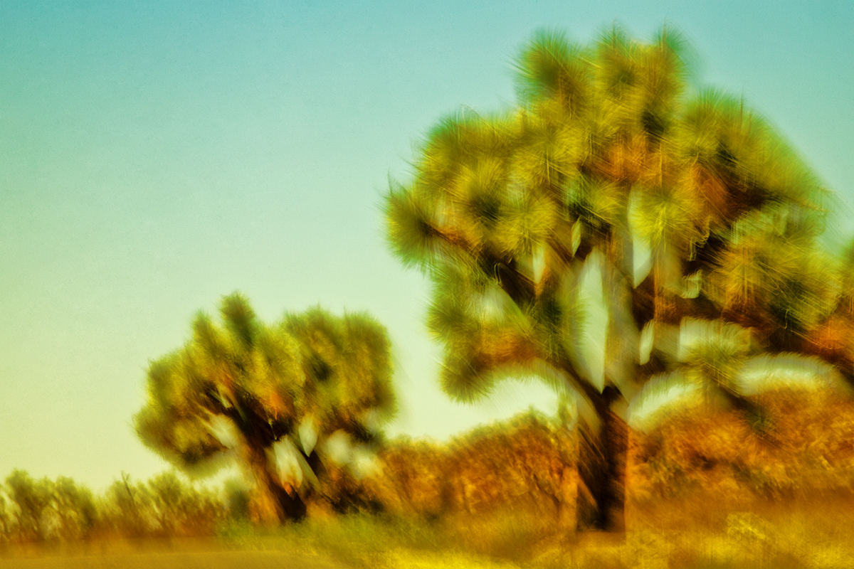 Kinetic Ambiguity Project, Land Series, Vistas Segment, Chapter 1