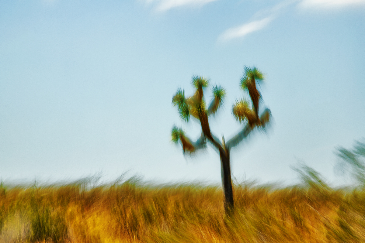 Kinetic Ambiguity Project, Land Series, Vistas Segment, Chapter 1