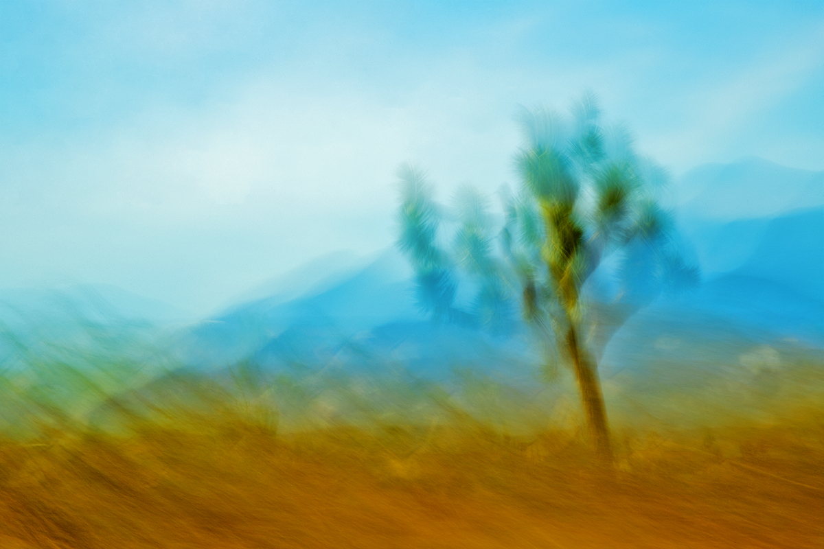 Kinetic Ambiguity Project, Land Series, Vistas Segment, Chapter 1