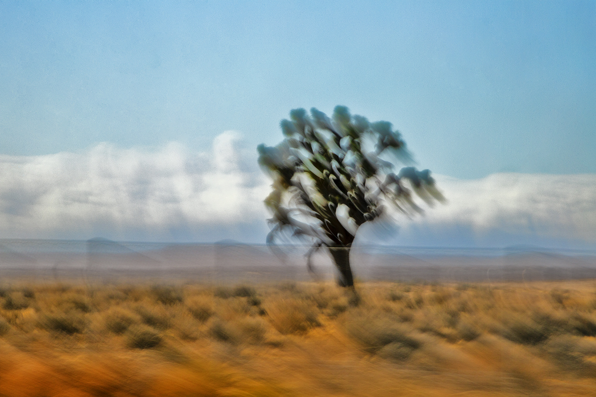 Kinetic Ambiguity Project, Land Series, Vistas Segment, Chapter 1