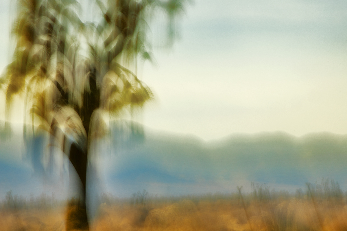 Kinetic Ambiguity Project, Land Series, Vistas Segment, Chapter 1