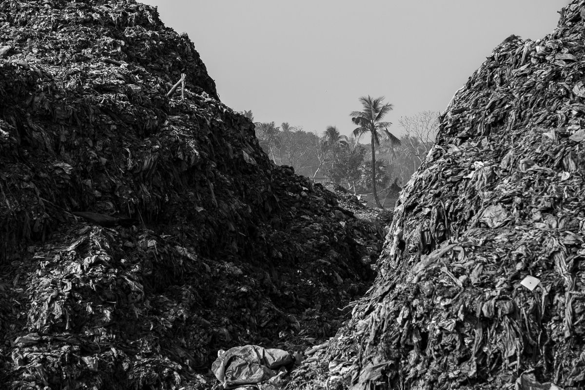 Waste island