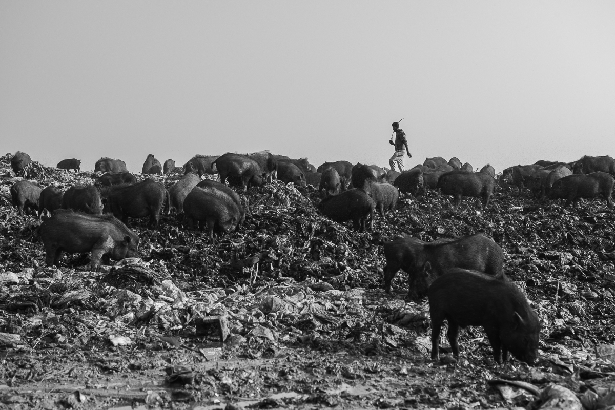 Waste island