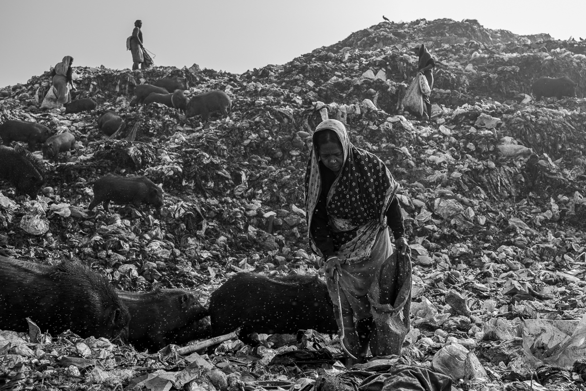 Waste island