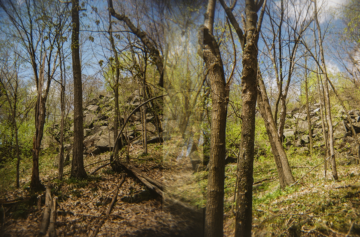 Nature Broken, Nature Healed