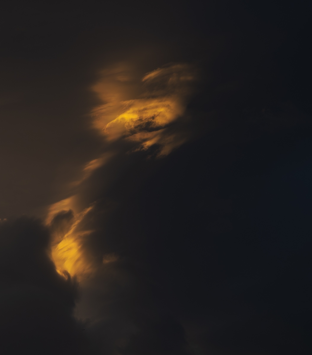 Lion King