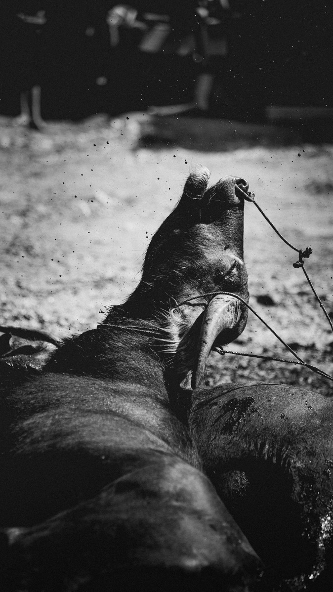 The Weight of Honour