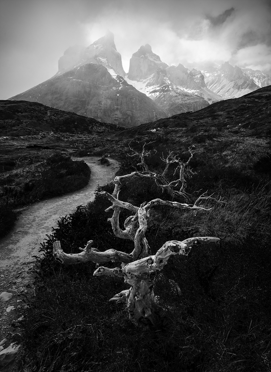 The Silent Cry of Patagonia