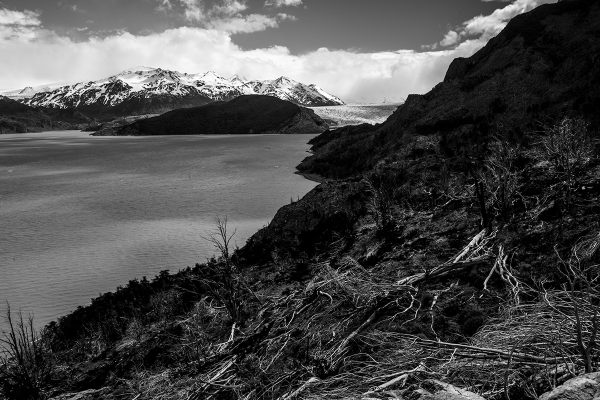 The Silent Cry of Patagonia