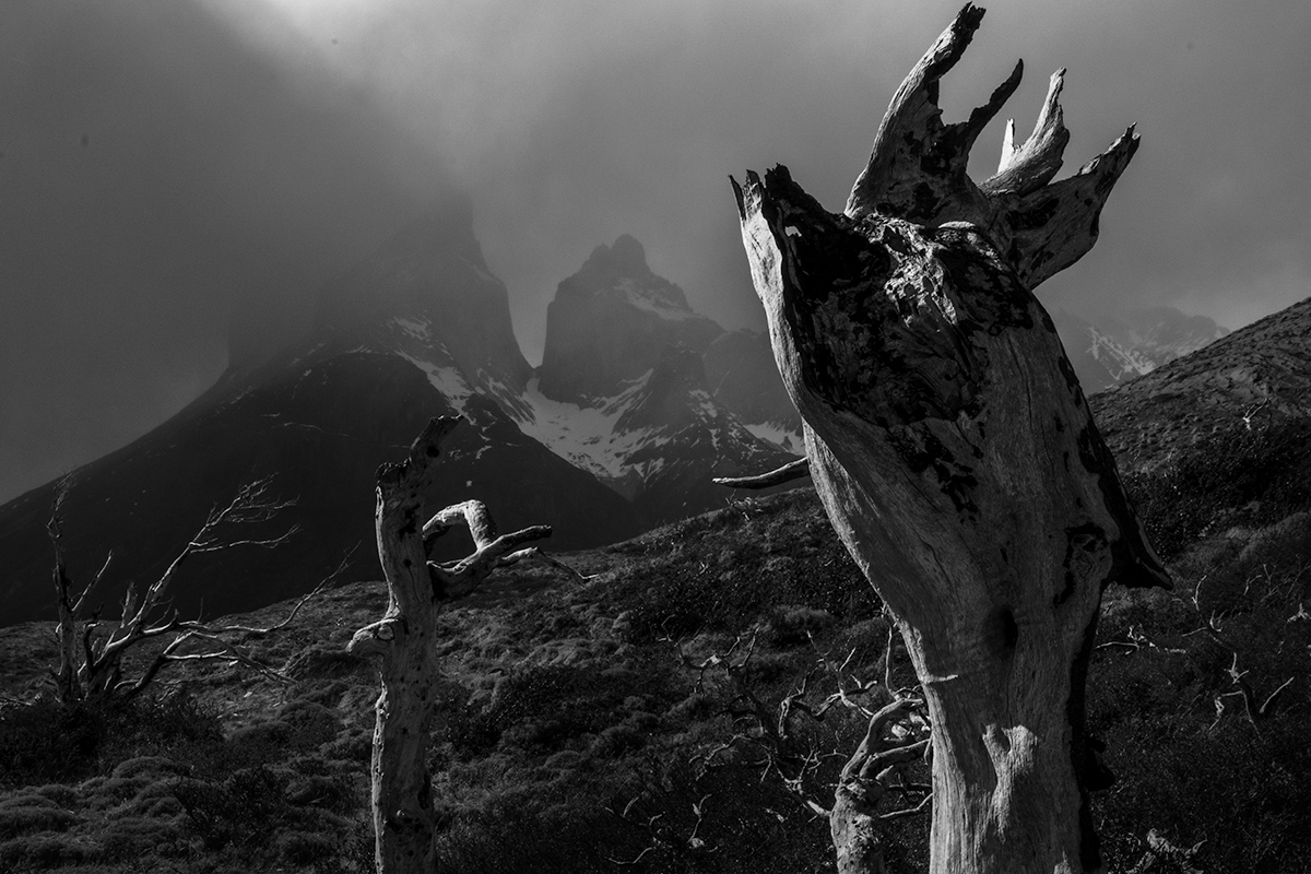 The Silent Cry of Patagonia