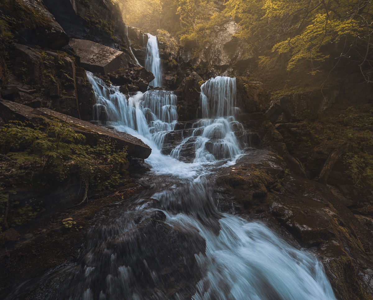 The Power of Nature