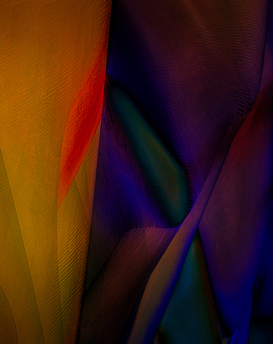 Perceptual Architecture