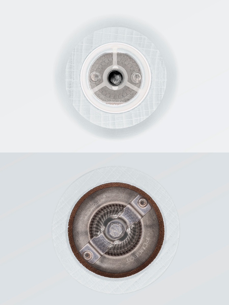 The Anatomy of Obsolescence: A Journey of Curiosity
