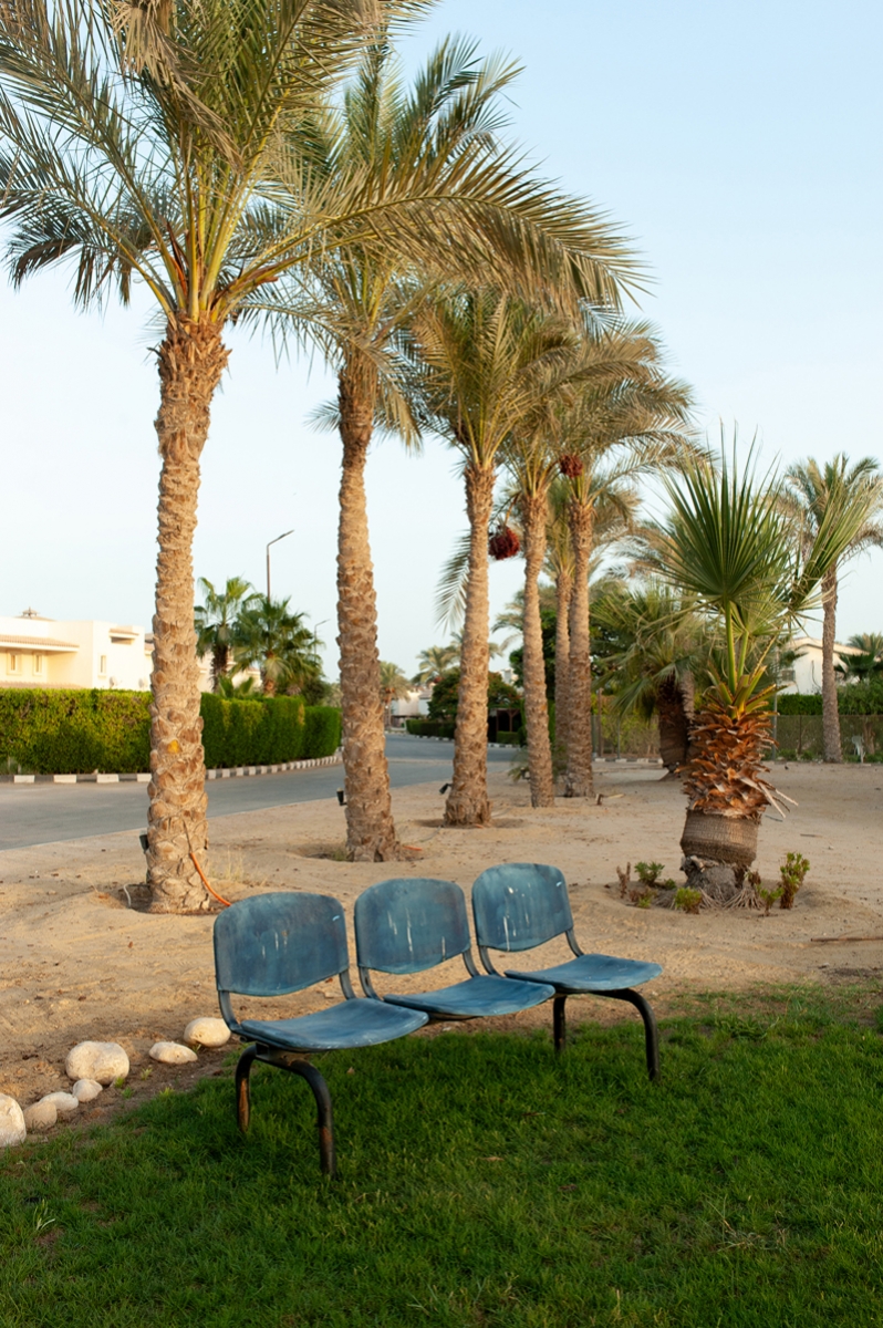 Chairs of Egypt