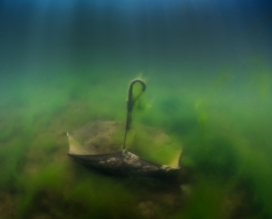 The underwater umbrella 