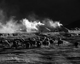 Life on the Mongolian Steppe