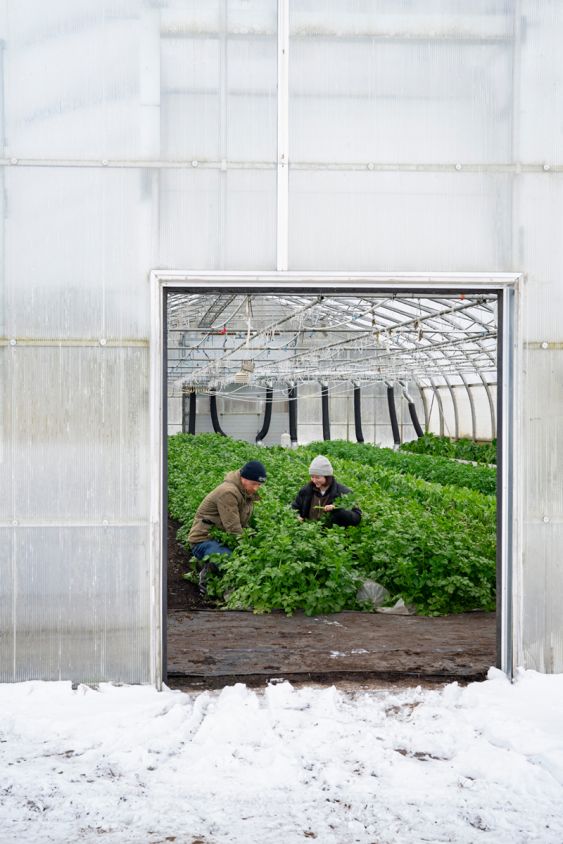 Those who cultivate and protect food biodiversity