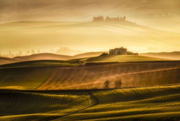 Tuscan Glamour