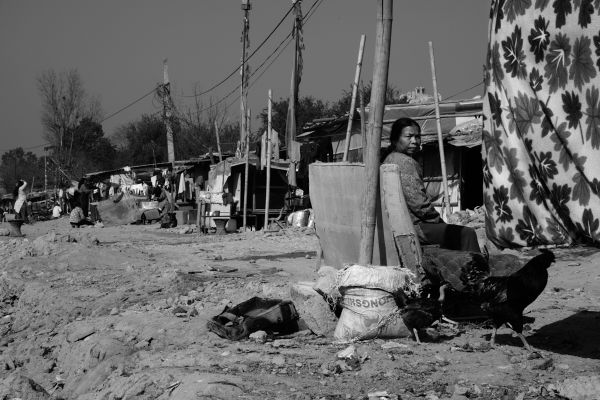 Settlement of the Brave