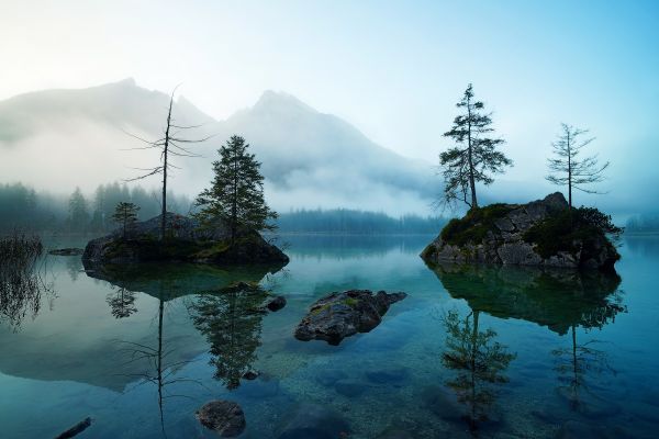 Nebel