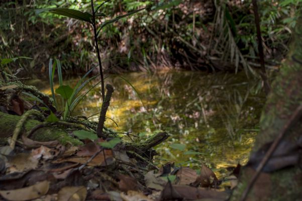 When they make you out of the paradise