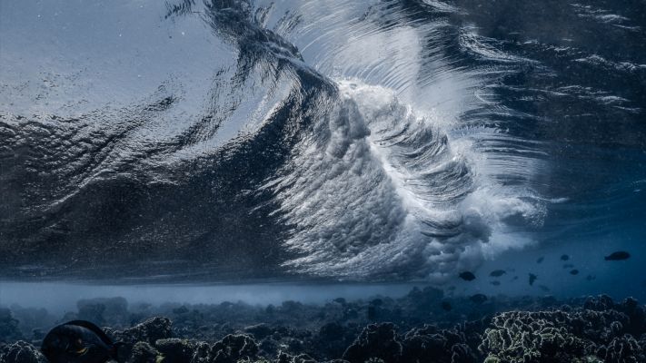 Mood changes of the wave