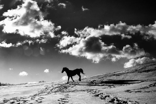 Walking in the Clouds