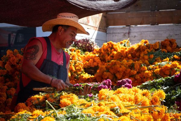 Amaneceres Vestidos de Cempasúchil