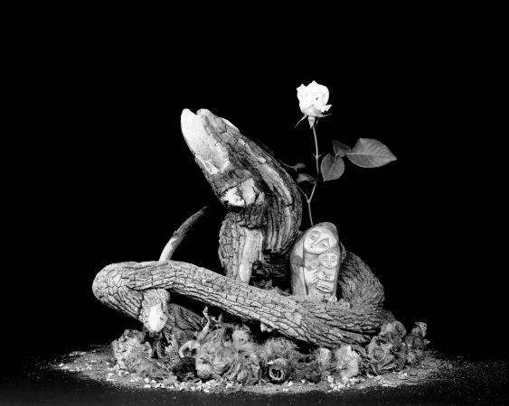 Prelude for Mother and Her Baby